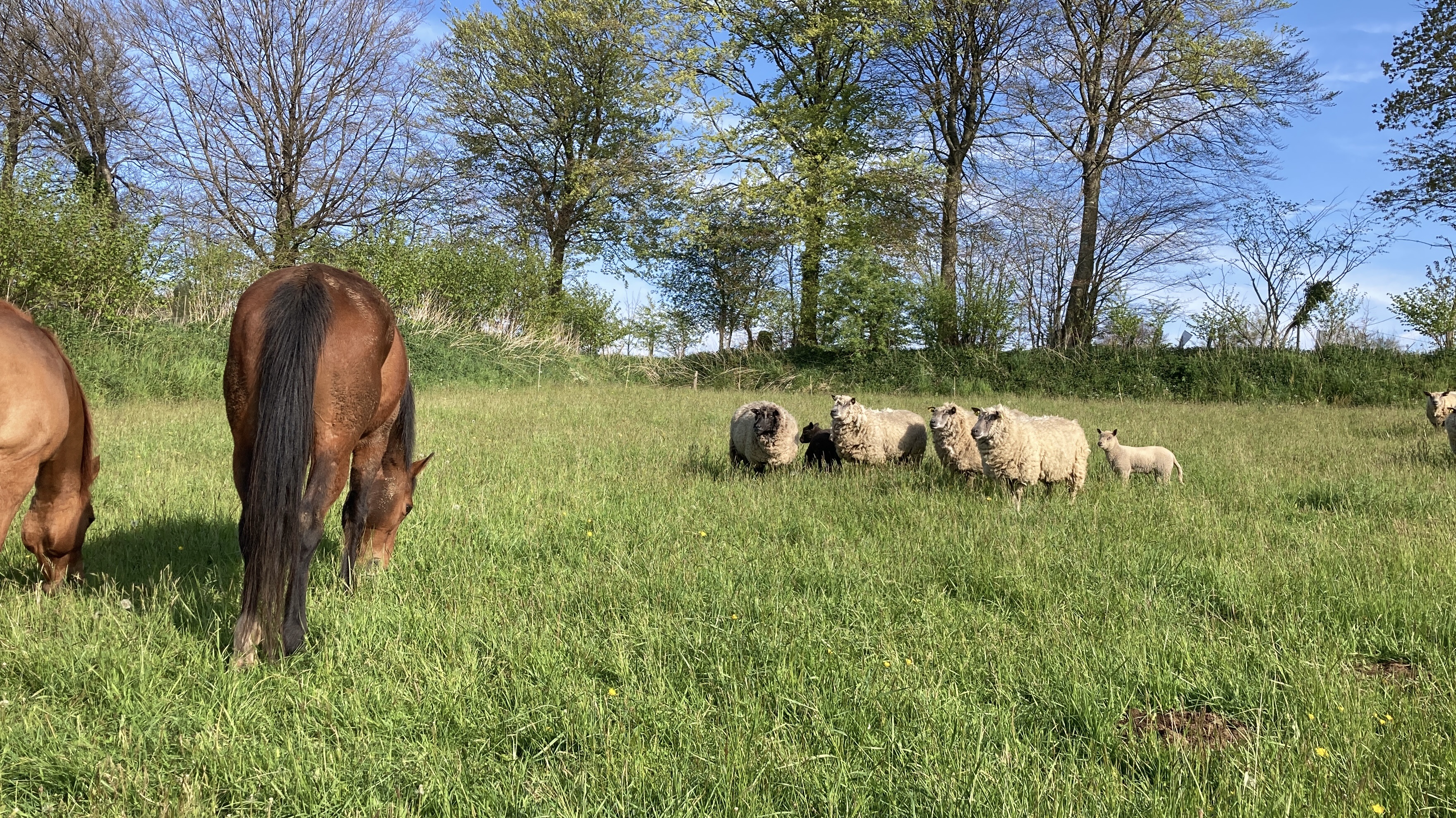La ferme de la Loutellerie